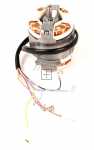 Hood Motors - C00934078 488000934078 Motor [Whirlpool Indesit]