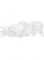 Flap - 00633470 Legend [Bosch Siemens]